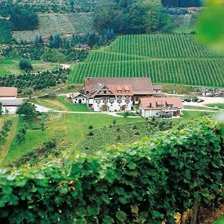 דירות דורבאך Weingut Alfred Huber מראה חיצוני תמונה