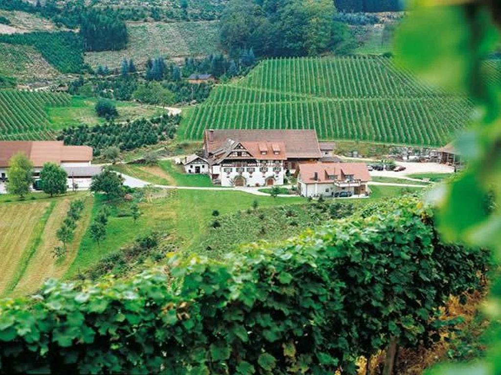 דירות דורבאך Weingut Alfred Huber מראה חיצוני תמונה